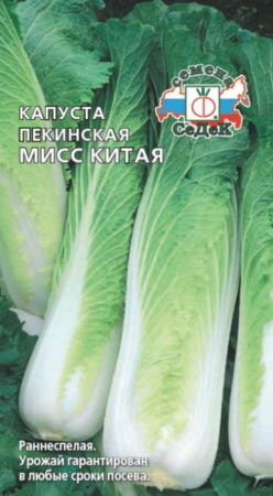 Капуста Пекинская Мисс Китая (СеДеК) цв - КОЛОРЛОН ВТД Новосибирск