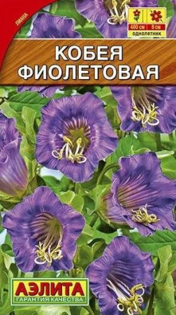 Кобея Фиолетовая 5шт (Аэлита) цв - КОЛОРЛОН ВТД Новосибирск
