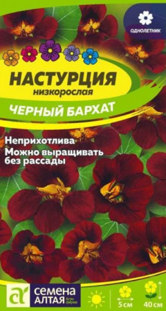Настурция Черный бархат/Сем Алт/цп 0,5 гр. - КОЛОРЛОН ВТД Новосибирск