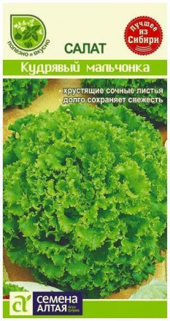 Астра Миледи Красная/Сем Алт/цп 0,2 гр. - КОЛОРЛОН ВТД Новосибирск