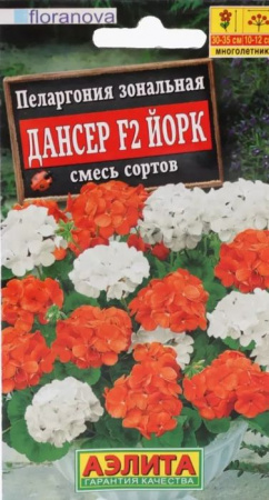 Пеларгония Дансер F2 Йорк 5шт, смесь окрасок (Аэлита) - КОЛОРЛОН ВТД Новосибирск