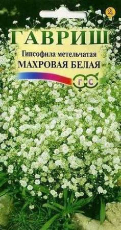 Гипсофила метельчатая Махровая белая 0.1гр (Гавриш) цв - КОЛОРЛОН ВТД Новосибирск