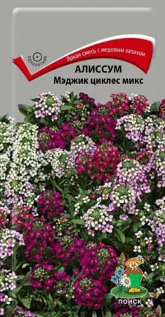 Алиссум Мэджик циклес микс 0.3г, смесь окрасок (Поиск) ОИ - КОЛОРЛОН ВТД Новосибирск