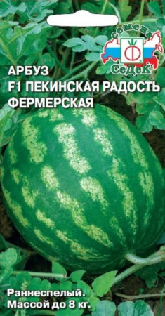 Арбуз Пекинская Радость Фермерская F1 (СеДеК) цв - КОЛОРЛОН ВТД Новосибирск