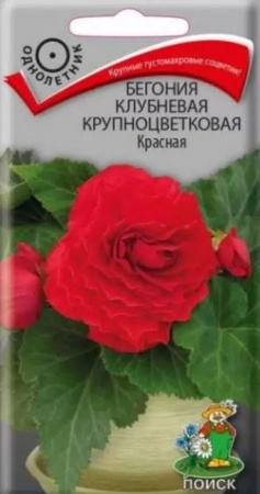 Бегония Крупноцветковая Красная 10шт (Поиск) - КОЛОРЛОН ВТД Новосибирск
