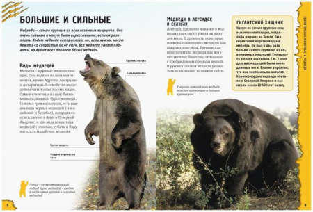ЭнцТайнИЗагадок(Махаон) Удивительные животные (Грин Дж.,Морган С.) - КОЛОРЛОН ВТД Новосибирск