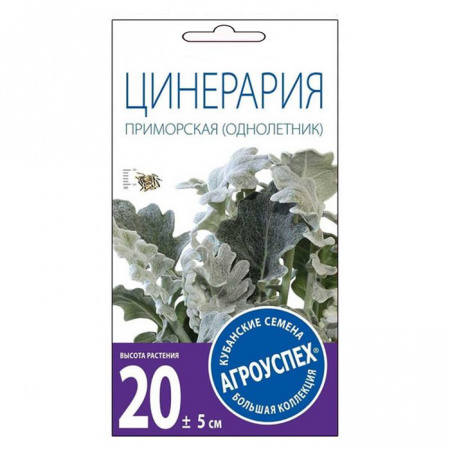 Цинерария Приморская 0,1г Агроуспех - КОЛОРЛОН ВТД Новосибирск