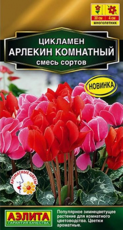 Цикламен Арлекин 3шт, смесь сортов (Аэлита) - КОЛОРЛОН ВТД Новосибирск