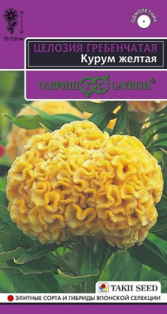 Целозия Курум Желтая 10шт, гребенчатая (Гавриш) - КОЛОРЛОН ВТД Новосибирск