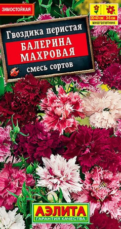 Гвоздика Балерина перистая махровая (Аэлита) цв - КОЛОРЛОН ВТД Новосибирск