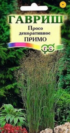Декоративные злаки Просо Примо 1г (Гавриш) - КОЛОРЛОН ВТД Новосибирск