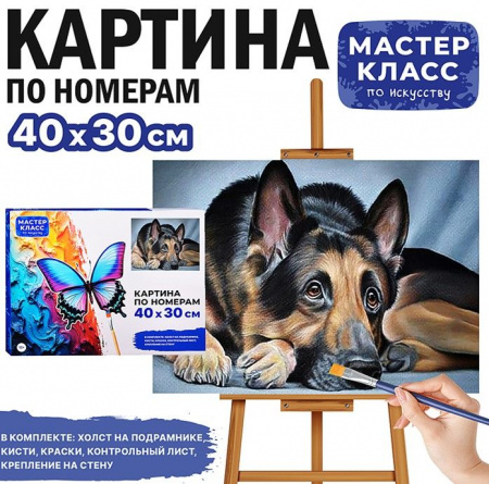 MKR4030-31 Картина по номерам "Овчарка" 30х40 см.Мастер класс - КОЛОРЛОН ВТД Новосибирск