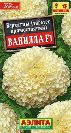 Бархатцы Ванилла F1 7шт (Аэлита) - КОЛОРЛОН ВТД Новосибирск