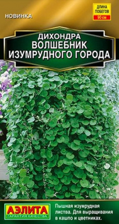 Дихондра Волшебник Изумрудного города 3шт (Аэлита) - КОЛОРЛОН ВТД Новосибирск