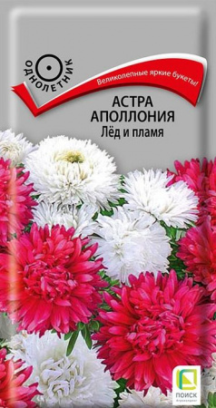Астра Аполлония Лед и пламя 0.3г, смесь окрасок (Поиск) - КОЛОРЛОН ВТД Новосибирск