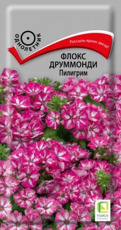 Флокс Пилигрим 0.1г (Поиск) - КОЛОРЛОН ВТД Новосибирск