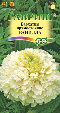 Бархатцы Ванилла 0.05гр (Гавриш) цв - КОЛОРЛОН ВТД Новосибирск