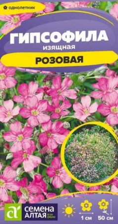 Гипсофила Изящная Розовая/Сем Алт/цп 0,05 гр. (2028 / 3930) - КОЛОРЛОН ВТД Новосибирск
