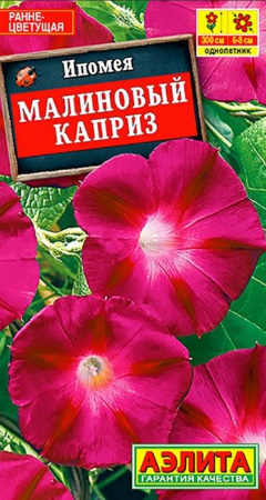 Ипомея Малиновый каприз (Аэлита) цв - КОЛОРЛОН ВТД Новосибирск