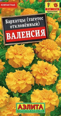Бархатцы Валенсия 0.3г (Аэлита) - КОЛОРЛОН ВТД Новосибирск
