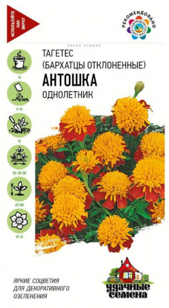 Бархатцы Антошка откл. 0.3гр серия Удачные семена  (Гавриш) цв - КОЛОРЛОН ВТД Новосибирск