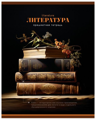 Тетрадь предметная 40л. BG "Фотосфера" - Литература, эконом ТПск40 12831 - КОЛОРЛОН ВТД Новосибирск