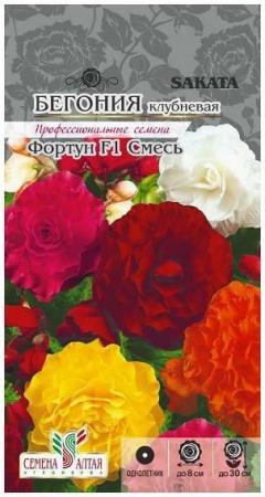 Цветы Бегония Фортун Смесь клубневая/Сем Алт/цп 5 шт. - КОЛОРЛОН ВТД Новосибирск