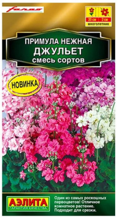 Примула Джульетт 7шт (Аэлита) цв - КОЛОРЛОН ВТД Новосибирск