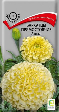 Бархатцы Аляска 0.4г, h=40 d=10 (Поиск) - КОЛОРЛОН ВТД Новосибирск