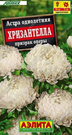 Астра Хризантелла Призрак оперы 15шт (Аэлита) - КОЛОРЛОН ВТД Новосибирск
