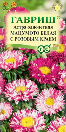 Астра Мацумото белая с роз.краем (Гавриш) цв - КОЛОРЛОН ВТД Новосибирск