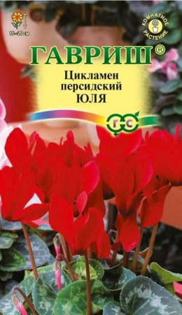 Цикламен Юля персидский 3шт (Гавриш) цв - КОЛОРЛОН ВТД Новосибирск