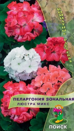 Пеларгония Люстра микс 5шт (Поиск) цв - КОЛОРЛОН ВТД Новосибирск