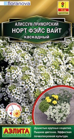 Алиссум Норт Фэйс вайт 10шт, ампельный (Аэлита) - КОЛОРЛОН ВТД Новосибирск