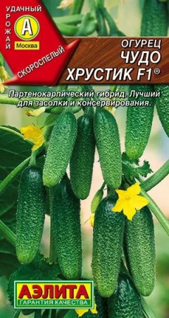 Огурец Чудо хрустик F1 10шт (Аэлита) цв - КОЛОРЛОН ВТД Новосибирск