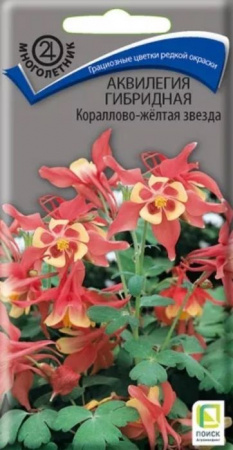 Аквилегия  гибридная Кораллово-желтая звезда 0,05гр. (Поиск) цв - КОЛОРЛОН ВТД Новосибирск