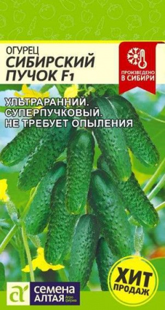 Огурец Сибирский Пучок F1/Сем Алт/цп 5 шт. - КОЛОРЛОН ВТД Новосибирск