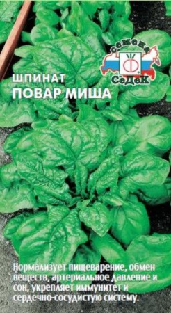 Шпинат Повар Миша (СеДеК) цв - КОЛОРЛОН ВТД Новосибирск