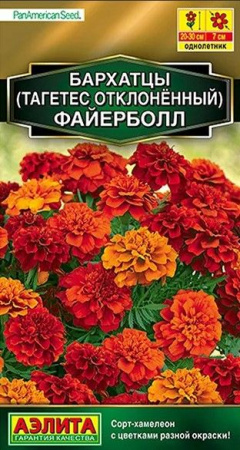 Бархатцы Файерболл 5шт, сорт-хамелеон (Аэлита) - КОЛОРЛОН ВТД Новосибирск