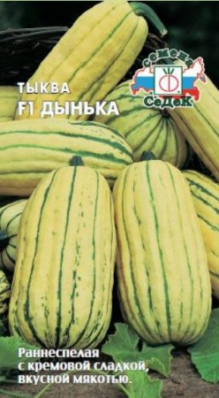 Тыква Дынька 1гр (СеДеК) цв - КОЛОРЛОН ВТД Новосибирск