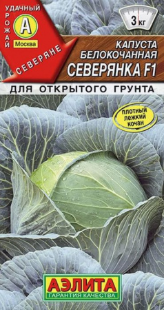 Капуста Северянка F1 0.1г, для квашения (Аэлита) цв - КОЛОРЛОН ВТД Новосибирск