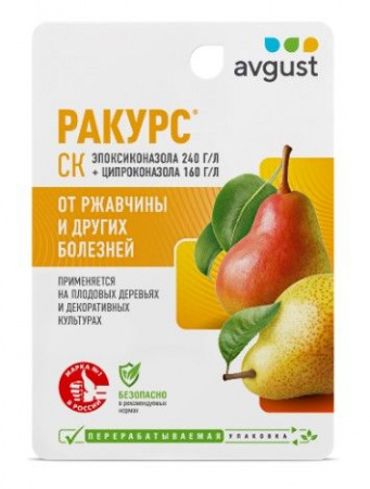 Ракурс 10мл N80 - КОЛОРЛОН ВТД Новосибирск
