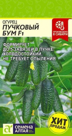 Огурец Пучковый Бум F1/Сем Алт/цп 5 шт. - КОЛОРЛОН ВТД Новосибирск