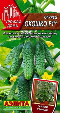 Огурец Окошко 0.25г F1 (Аэлита) цв - КОЛОРЛОН ВТД Новосибирск