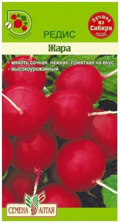 Баклажан Алексеевский/Сем Алт/цп 0,2 гр. - КОЛОРЛОН ВТД Новосибирск