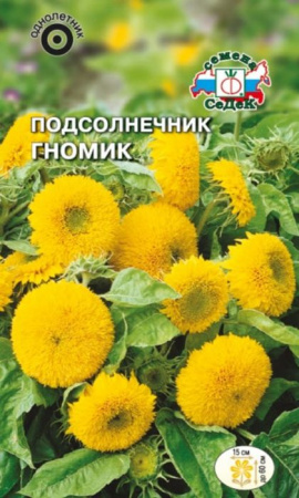 Подсолнечник декорат. Гномик 0.3г, карликовый (СеДеК) - КОЛОРЛОН ВТД Новосибирск