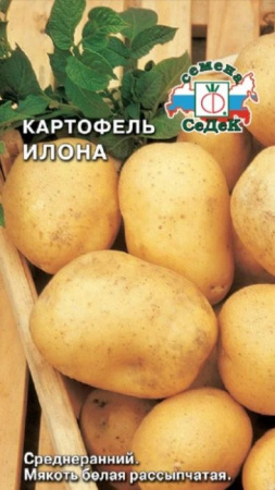 Картофель Илона 50шт (СеДеК) цв - КОЛОРЛОН ВТД Новосибирск
