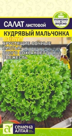 Зелень Салат Кудрявый Мальчонка/Сем Алт/цп 0,5 гр. - КОЛОРЛОН ВТД Новосибирск
