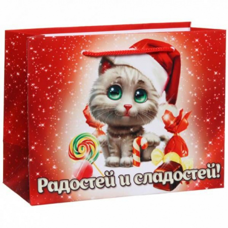 Пакет 11х14 см глянцевый "Успехов в Новом году!", Котенок, горизонтальный - КОЛОРЛОН ВТД Новосибирск