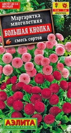 Маргаритка Большая кнопка (Аэлита) цв - КОЛОРЛОН ВТД Новосибирск